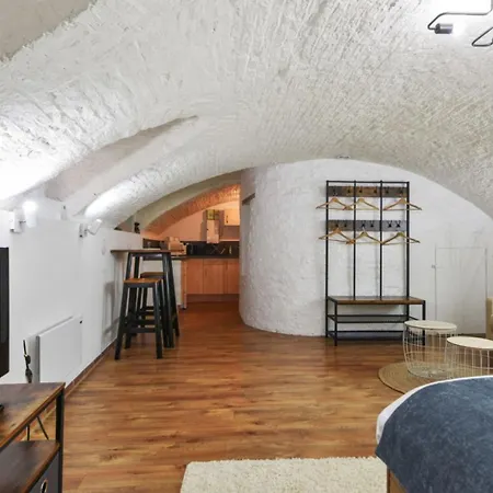 Design In Vaulted Cellar - Old Town Apartment Lille