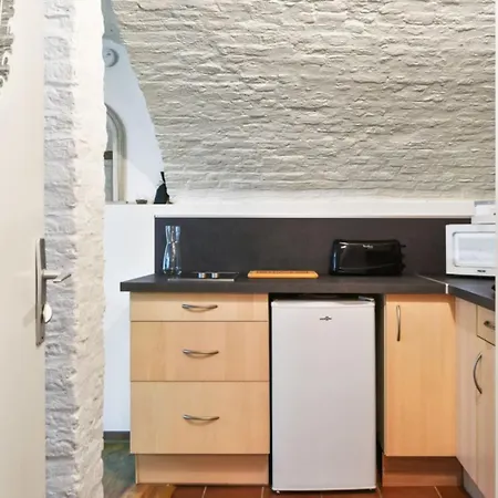 Design In Vaulted Cellar - Old Town 公寓 里尔